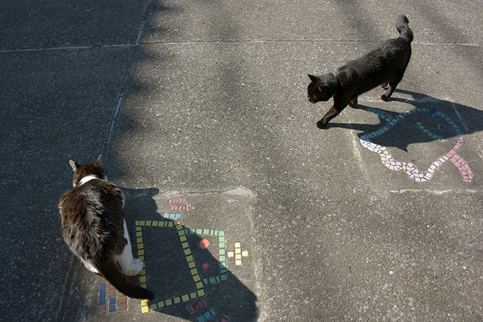 街のねこたち