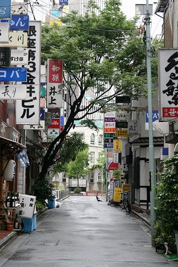 中央のねこ