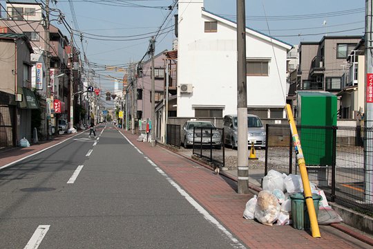 太田区のねこ