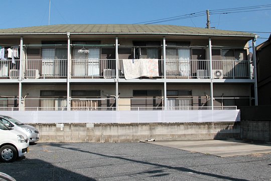 太田区のねこ