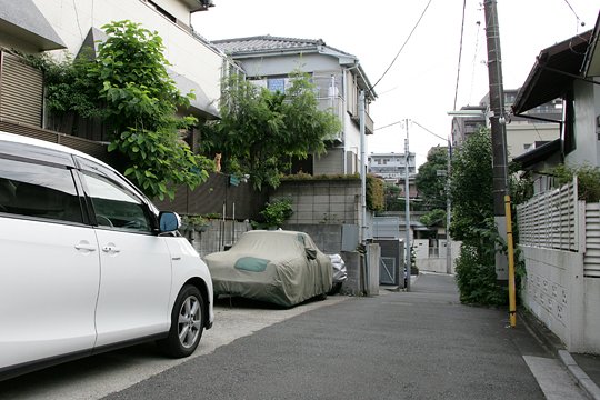 太田区のねこ