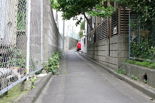 太田区のねこ