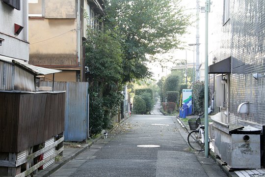 太田区のねこ