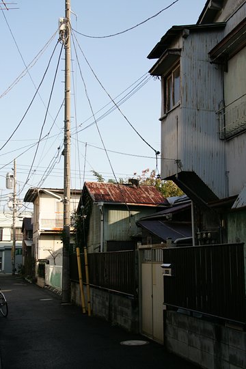 太田区のねこ