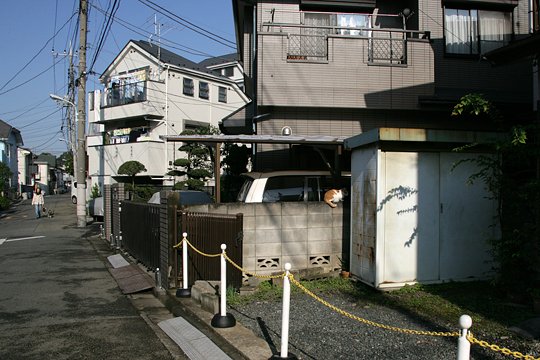 太田区のねこ