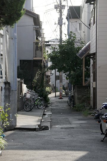 太田区のねこ