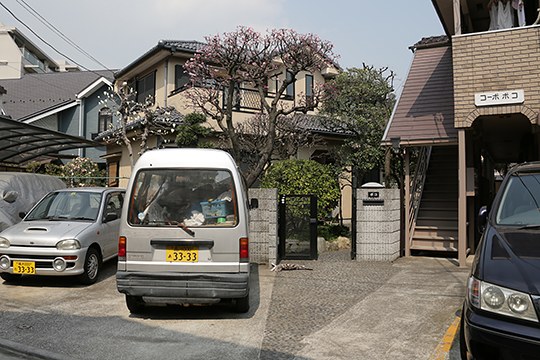 太田区のねこ