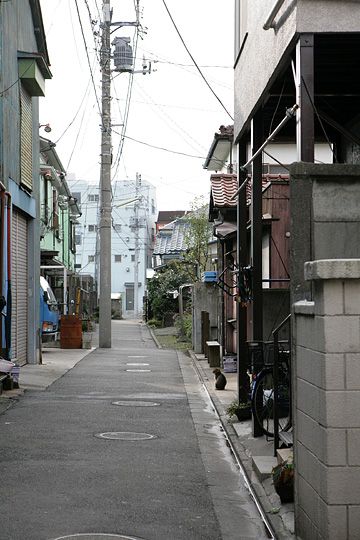 太田区のねこ