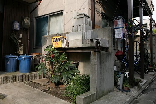 太田区のねこ