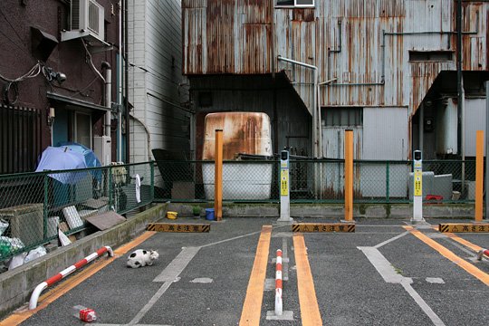 太田区のねこ