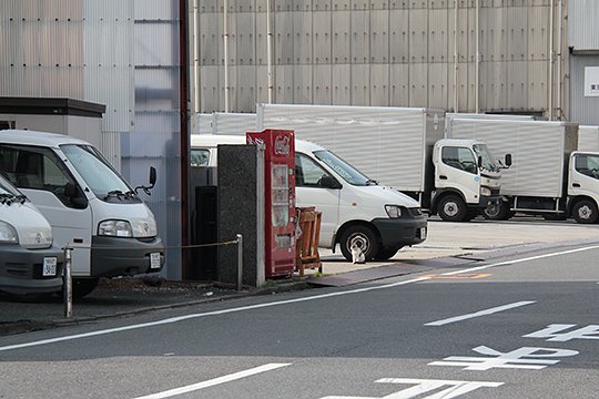 太田区のねこ