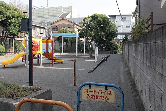 太田区のねこ