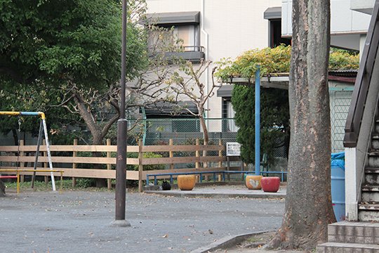 太田区のねこ