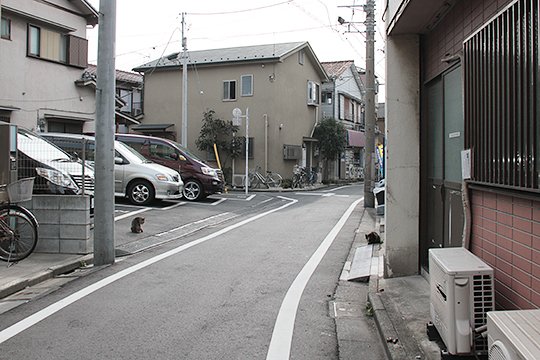 太田区のねこ
