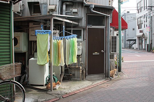 太田区のねこ