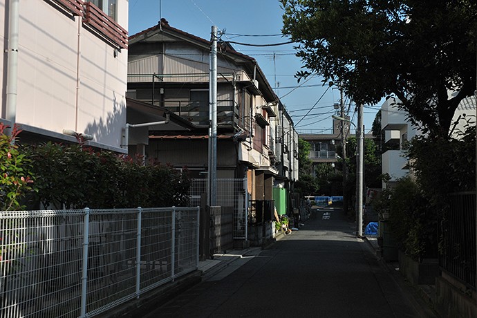 太田区のねこ