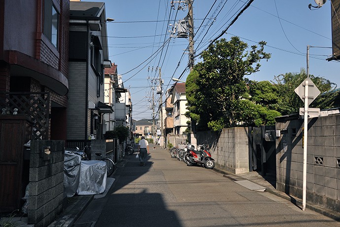 太田区のねこ