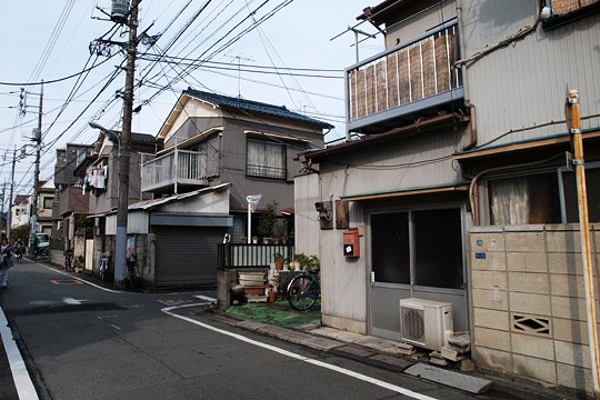 太田区のねこ