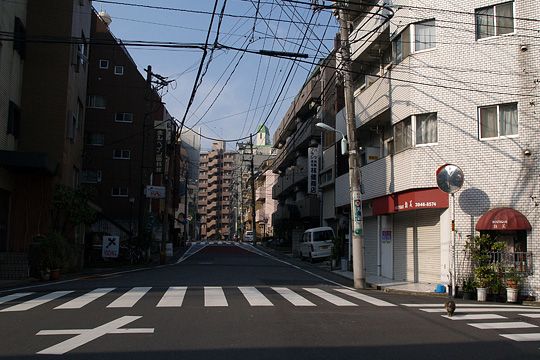 ねこ