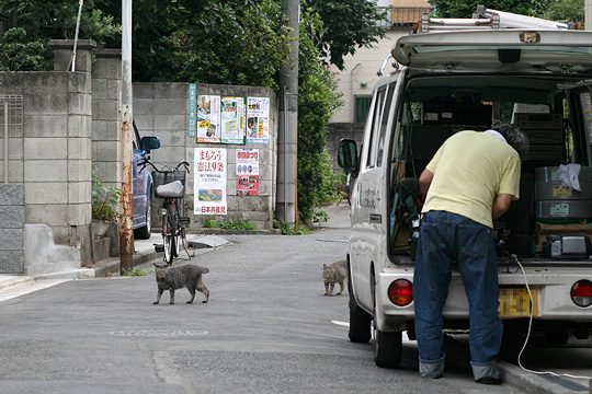 ねこ