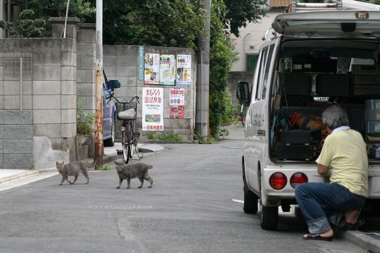 ねこ