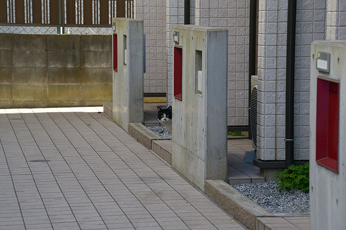 街のねこたち